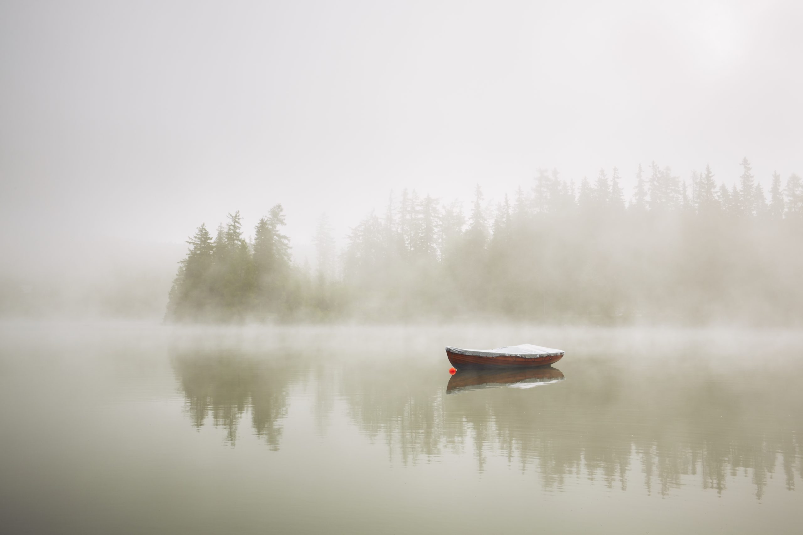 Read more about the article “Time will pass and seasons will come and go.”  Roy Bean